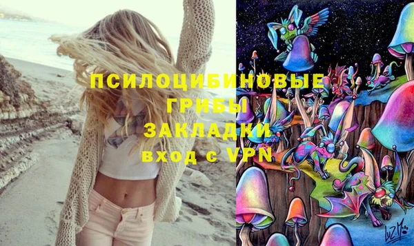 круглые Абаза