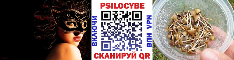 хочу наркоту Фокино Галлюциногенные грибы Cubensis